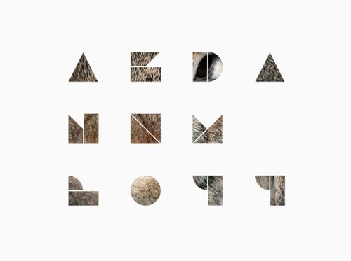 The Strange Attractor #type #geometric