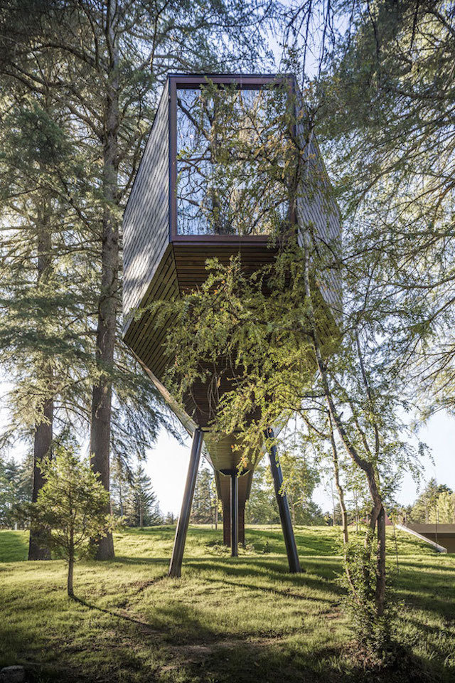 treesnakehouse-12 #architecture #house #tree