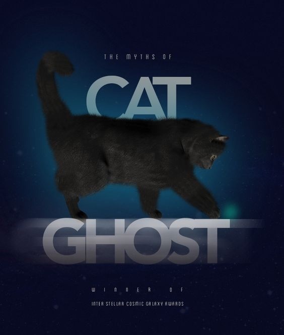 #poster #cat #editorial #design #concept #blue