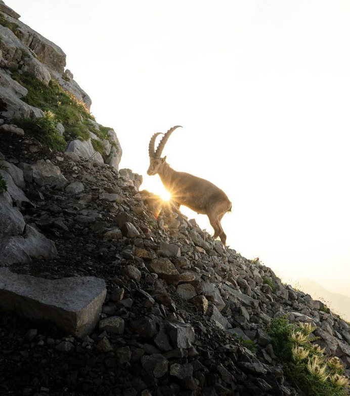 Magnificent Outdoor and Landscape Photography by Toni Butzmann