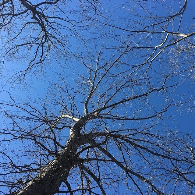 Such a beautiful blue sky today...