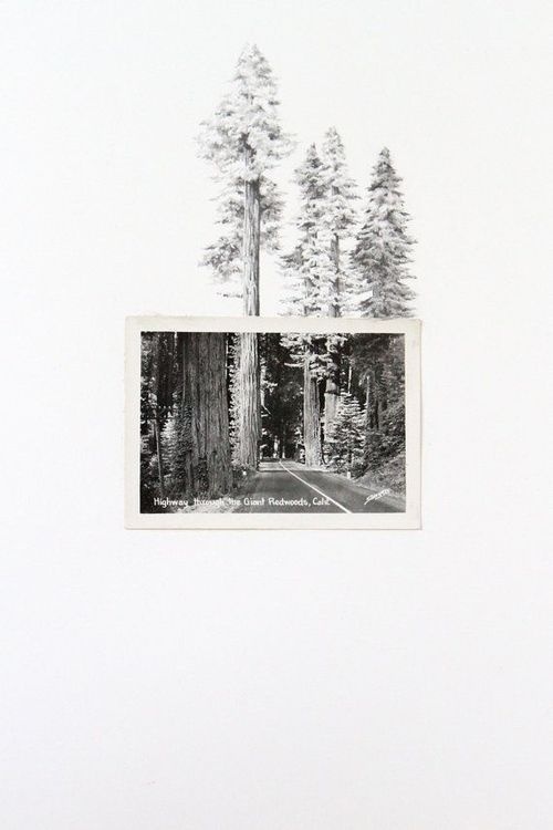 Vintage Photos & Drawings #photos #drawings #vintage