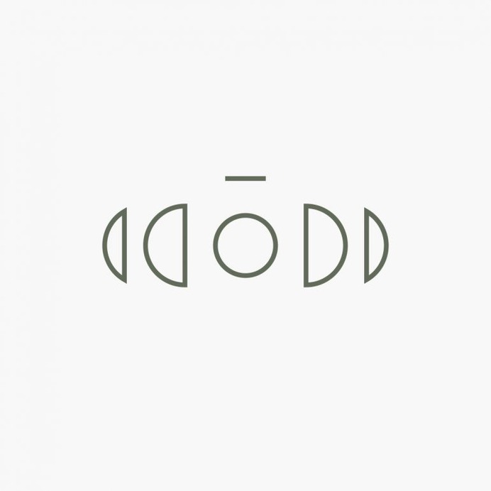 Logo concept for a Brazilian photographer