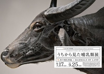 The Best Part - A Daily Art and Design Blog #print #poster