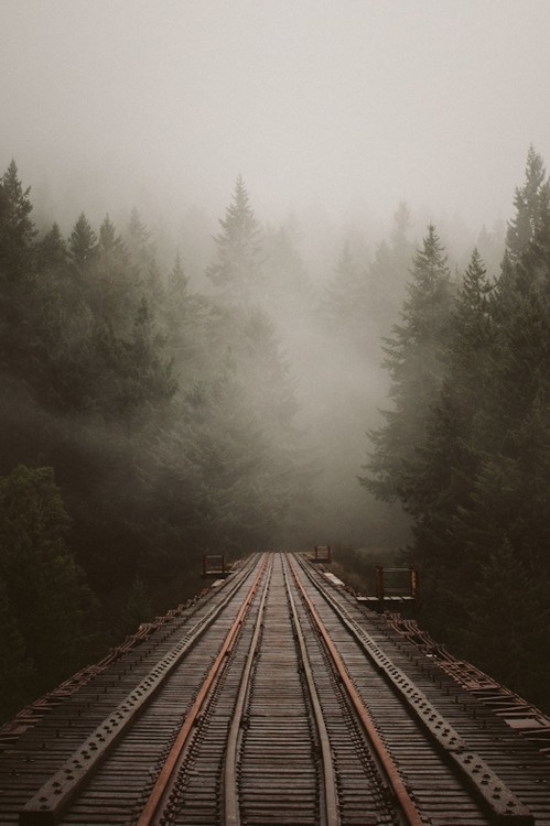 Lyla #train #forest #track #fog