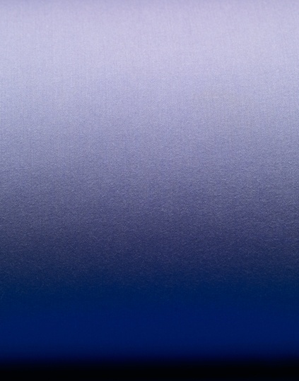 Scheltens Abbenes #abbenes #scheltens #study #man #blue #fantastic