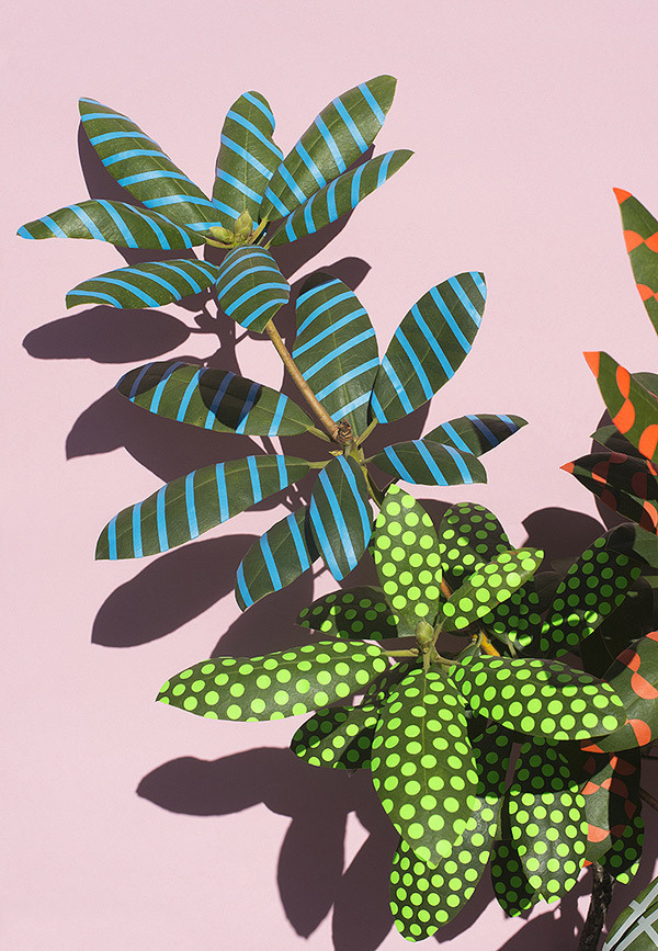 Sarah Illenberger | PICDIT