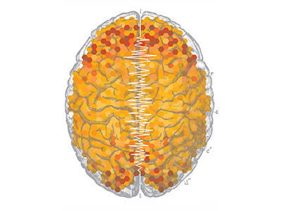 Brain full of honeycomb #honeycomb #graphic #brain #pattern