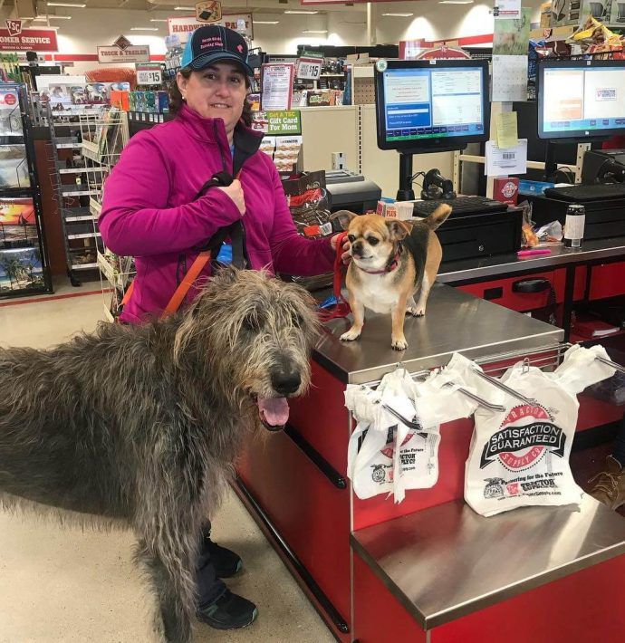 Most Dog Friendly Stores in America - Tractor Supply Company