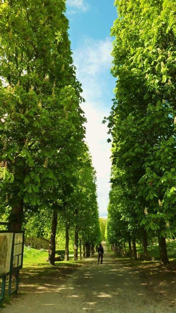 Stock Home 2011 on Behance #sweden #wallb #sky #stockholm #trees