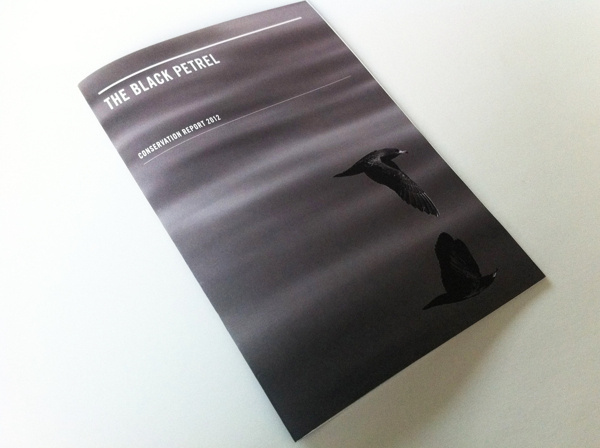 Conservation Report 2012 #scale #type #turquoise #charcoal #black #clean #grid #photography #grey #report #blue #typography