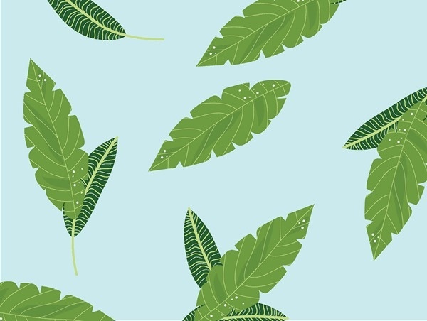 Leaves - This happens all the time. #pattern #plants #design #illustration #nature #leaves #foliage #green