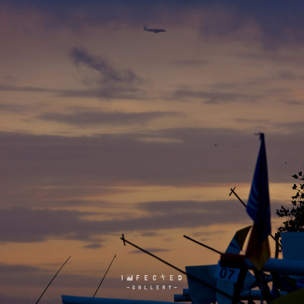silhouette #gallery #flight #infected #landscape #flying #ilhouette #silhouette #scape