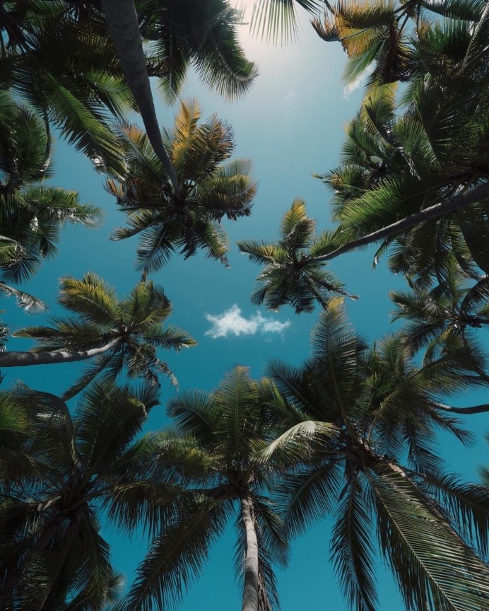 Magnificent Travel Landscapes by Eric Ward