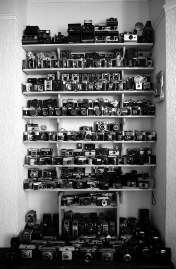 i'm not wordy #camera #photography #photo #cameras