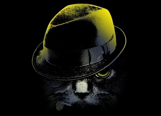 #illustration #hat #cat