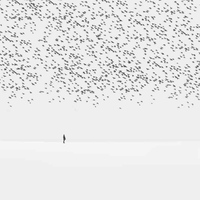 Surreal Photography by Hossein Zare #inspiration #surreal #photography