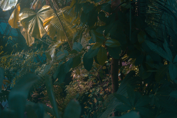 Greenhouses by Quentin Deronzier