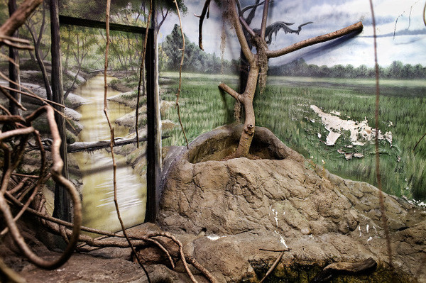 Captive Landscapes Daniel Kukla #daniel #kukla #landscapes #captive