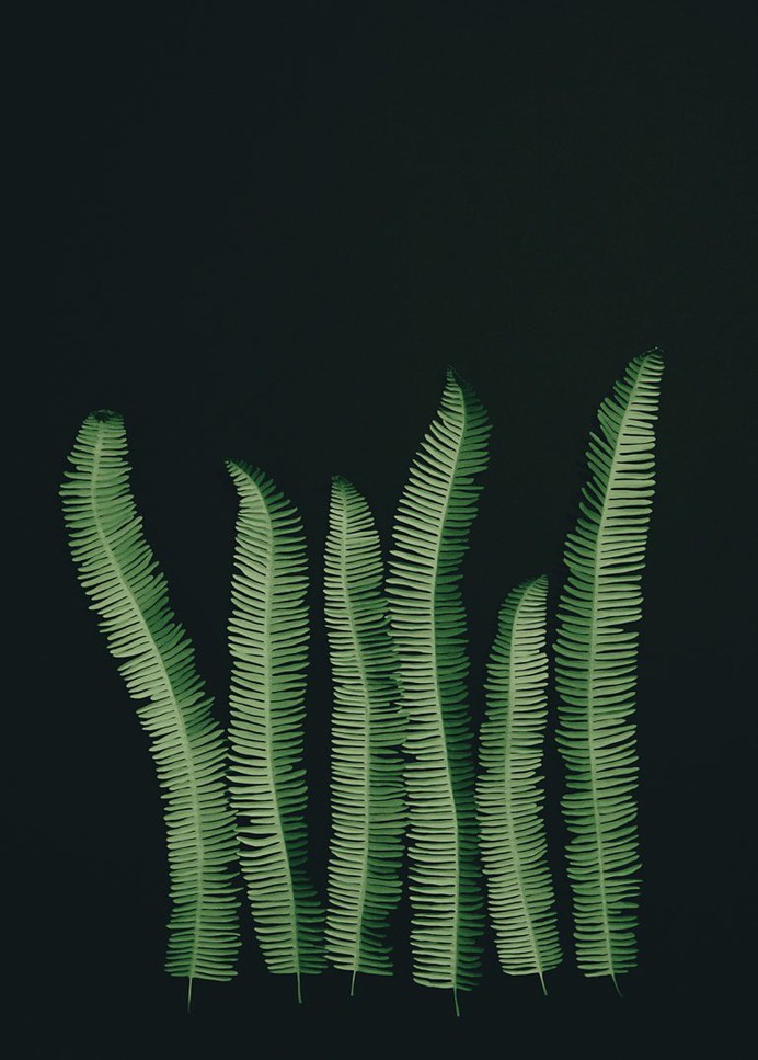 Paper Leaves