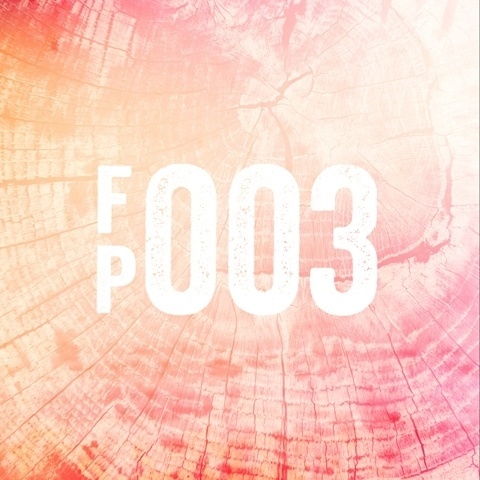 fuzzpony | music mixes on the Behance Network #racepony #mixes #fp003 #fuzzpony
