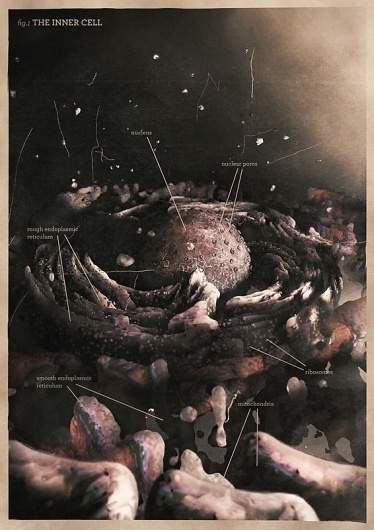 #inprnt #mrkism