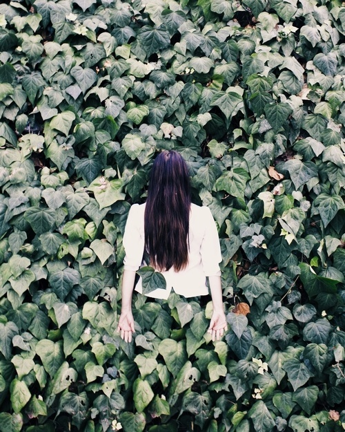 Enter the Garden | Sallie Harrison