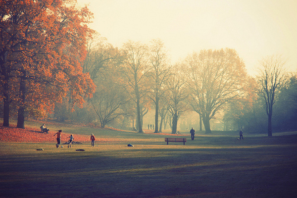 Lukas Kozmus #photography #travel #fog #park