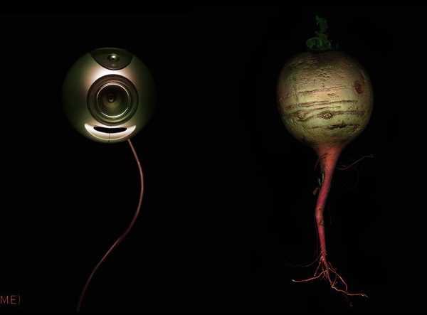 Conceptual Photography by Kevin Twomey #inspiration #photography #conceptual