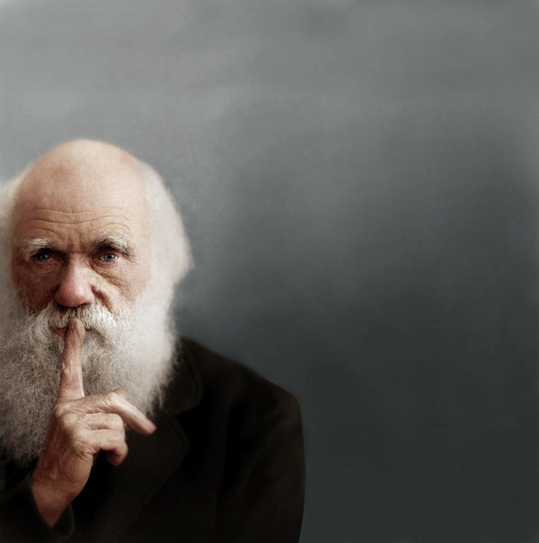 Mads Madsen (zuzahgaming) Minus.com #darwin #quite #color #brilliant