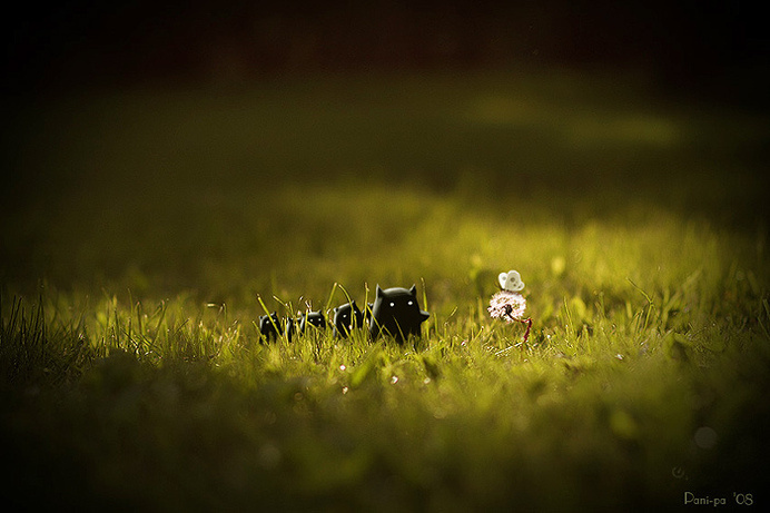 Проснись, #photography