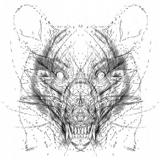 andy gilmore #bear #geometric #energy
