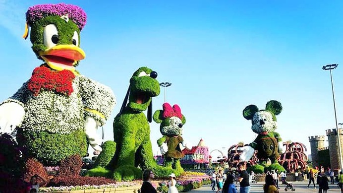 Disney avenue is the most popular location at the Dubai Miracle Garden.