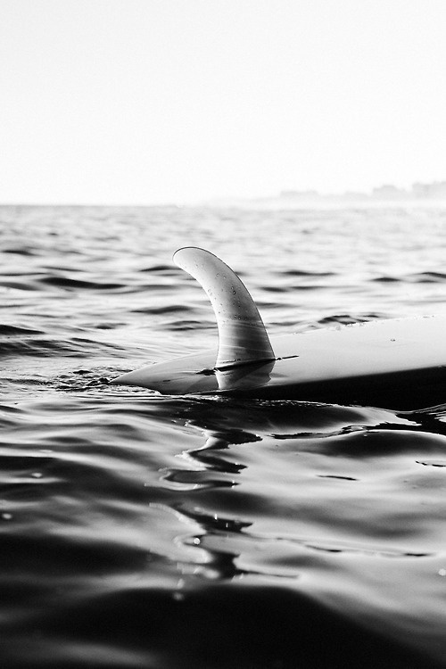 surf fin in the hamptons - julien roubinet #hamptons #surf #julien #board #fin #roubinet #beach #fins