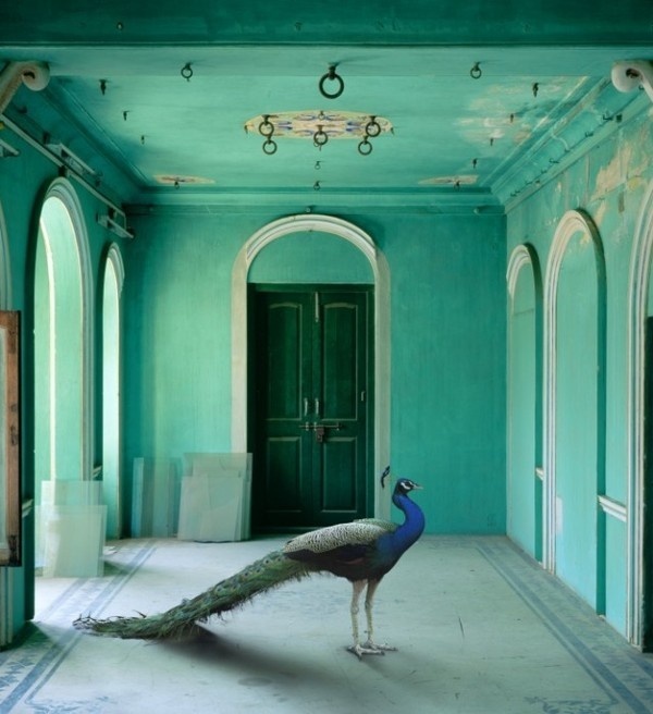 India Song by Karen Knorr #inspiration #photography #art