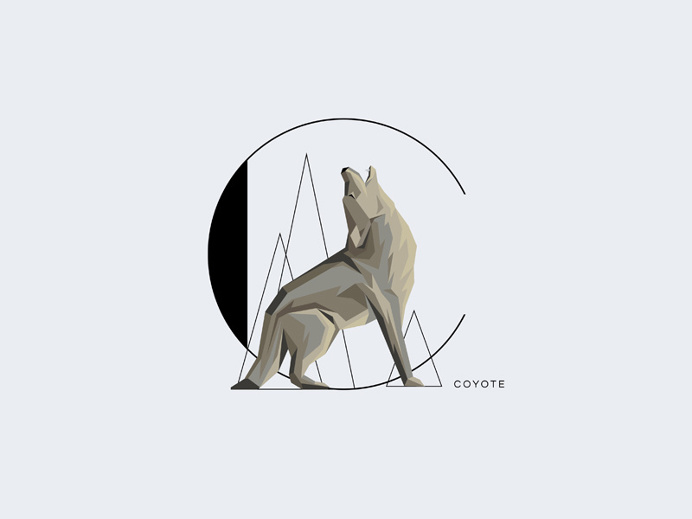 C For Coyote