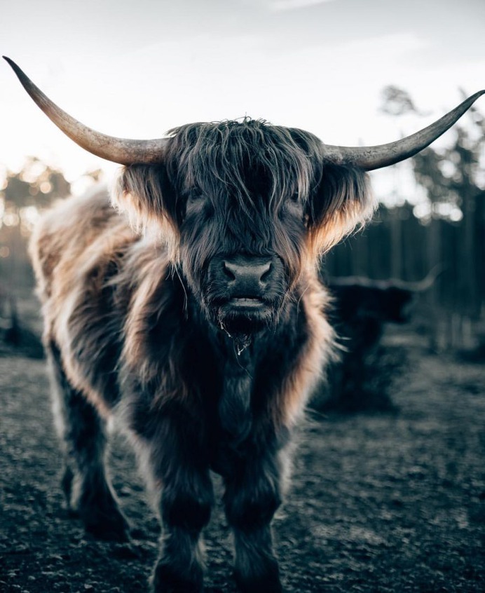Stunning Adventure and Outdoor Photography by Philipp Pilz