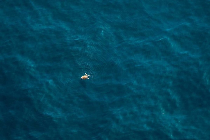 South Africa From Above: Abstract and Minimalist Aerial Photography by Zack Seckler