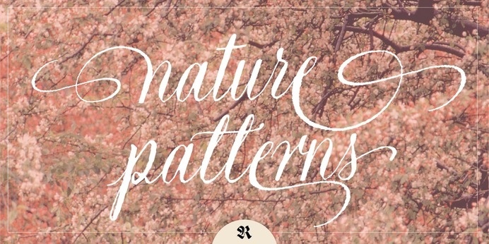 Natura - Webfont & Desktop font « MyFonts #calligraphy #script #writing #nature #handwritten #type