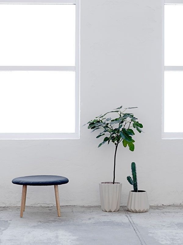 Plants. Via bloomingville.com. #plant #flowerpot