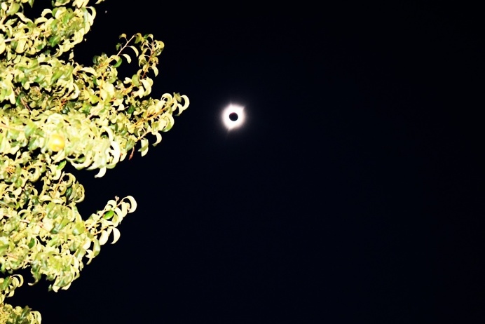 Solar Eclipse 2017 ~West Linn, OR #eclipse #totality #solar #sun #light #energy #10am #eclipse #totality #solar #sun #light #energy #10am