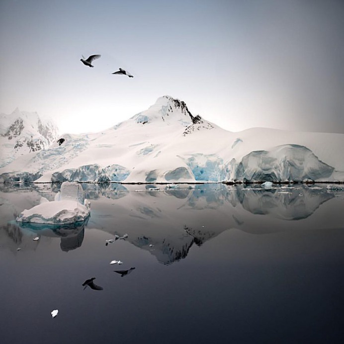Outstanding Wildlife and Landscape Photography by Pepe Soho