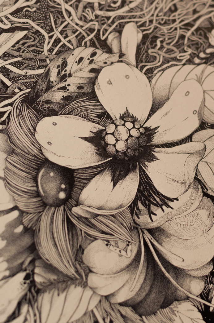 illustration, floral, stippling, pen