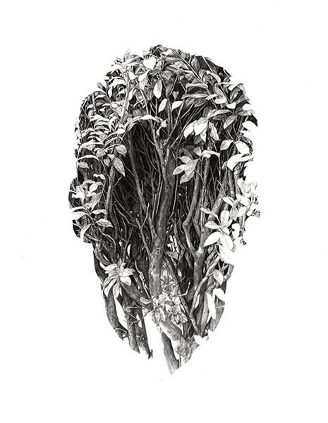 Rupert Smissen #white #plants #sparse #black #illustration #and #foliage #face #drawing #leaves