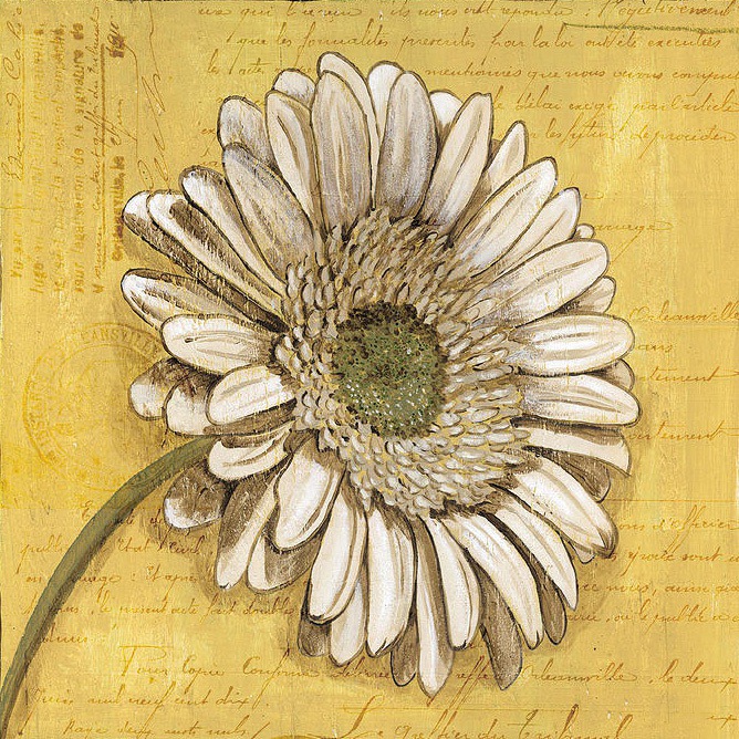 daisy painting & daisy paint by number #painting
