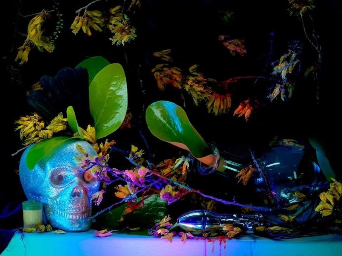 Spectacular Still Life Photography by Fiona Pardington