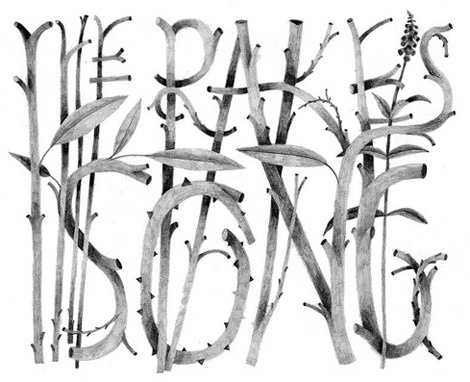 grain edit &middot; Carson Ellis #illustration #ellis #carson #typography