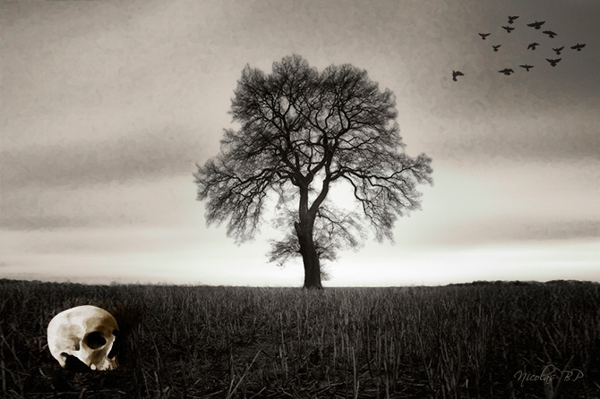 Autumn skull #tree #autumn #manipulation #skull #dark