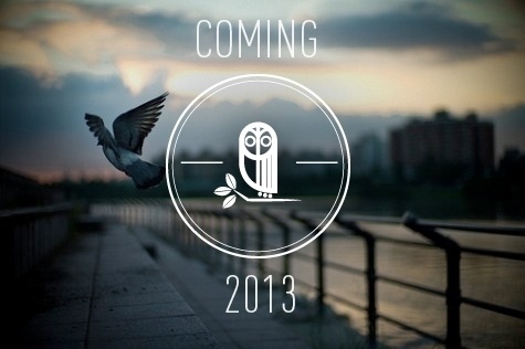 Owl Owl Owl #white #owl #icon #type #logo