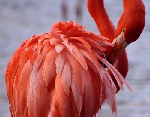Merde! - Photography #photography